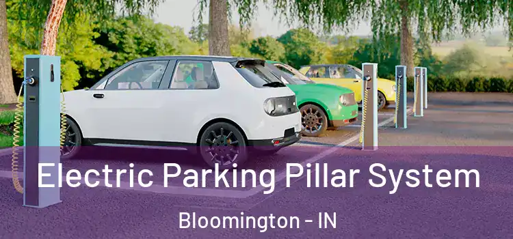  Electric Parking Pillar System Bloomington - IN