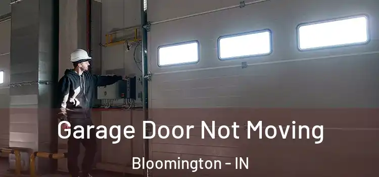  Garage Door Not Moving Bloomington - IN